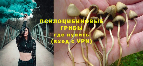 spice Аркадак