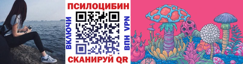 darknet как зайти Усинск Псилоцибиновые грибы Magic Shrooms